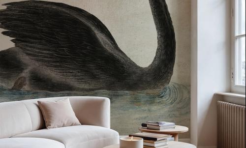 Swimming Swan Black Aged
