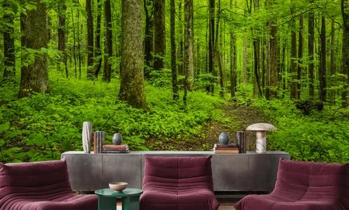 Emerald Woodland Path