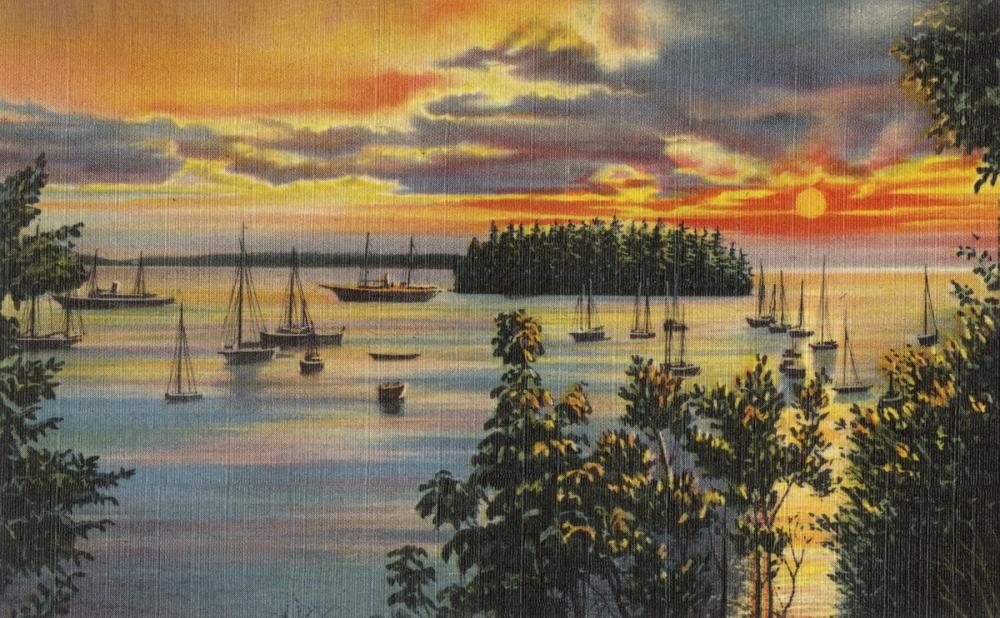 Greetings from Sunset Views - Screenprint Postcard