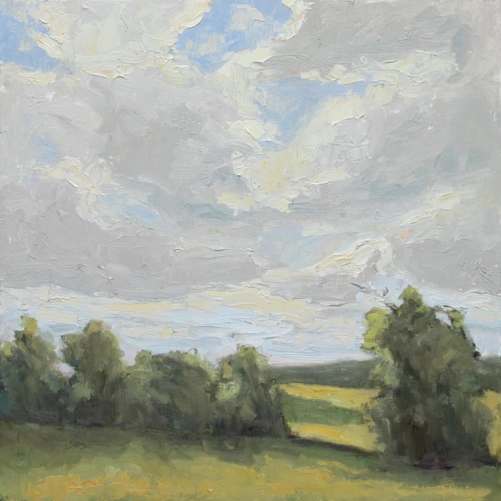 Sweeping Fields