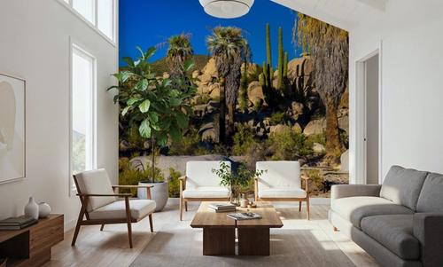 Baja Palms