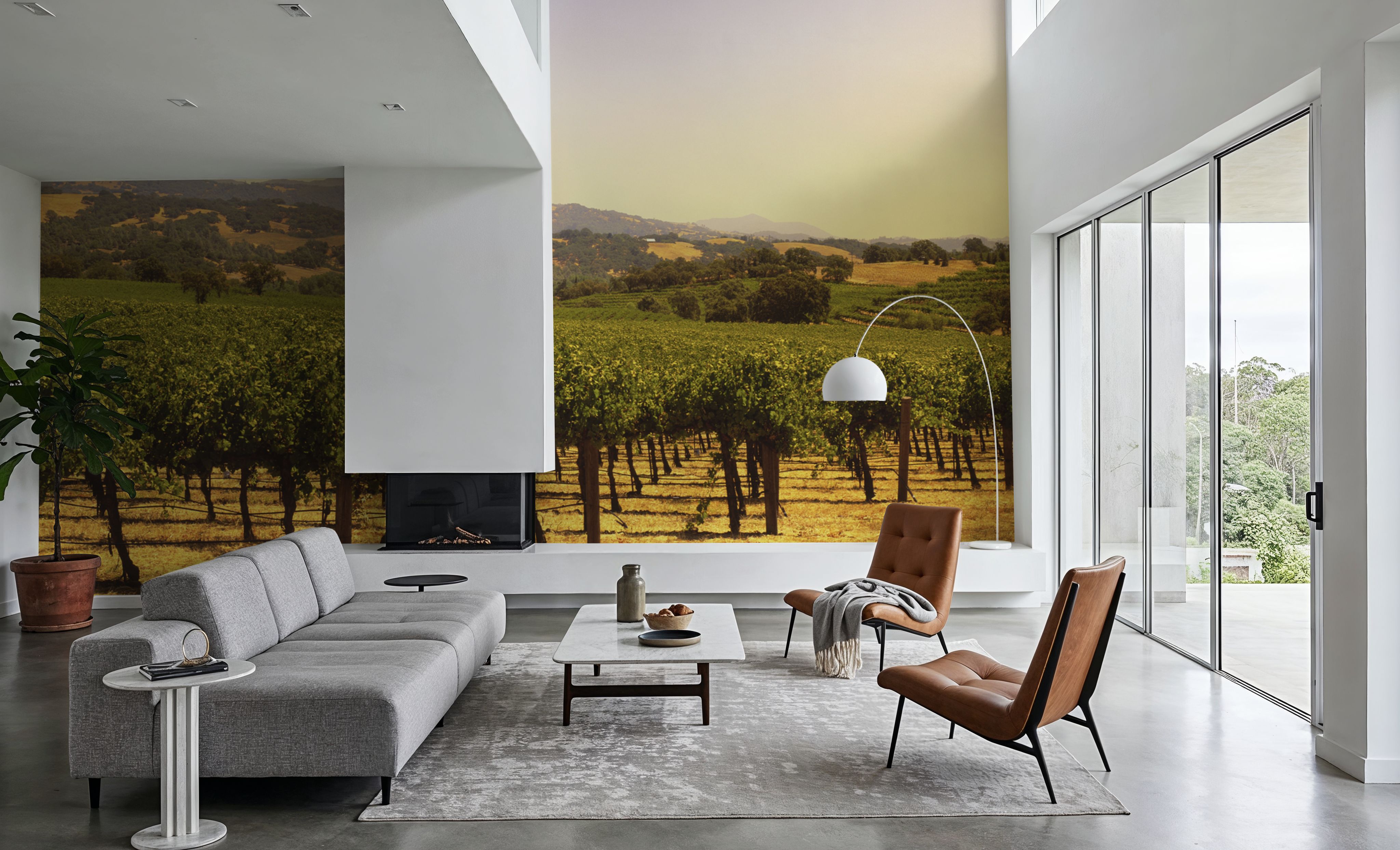 Golden Vineyard Vista