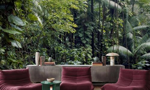 Tropical Eden