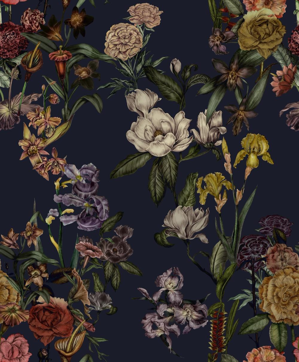 Floral Gaze, Midnight