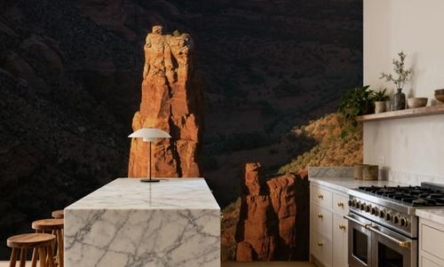 Desert Sentinels