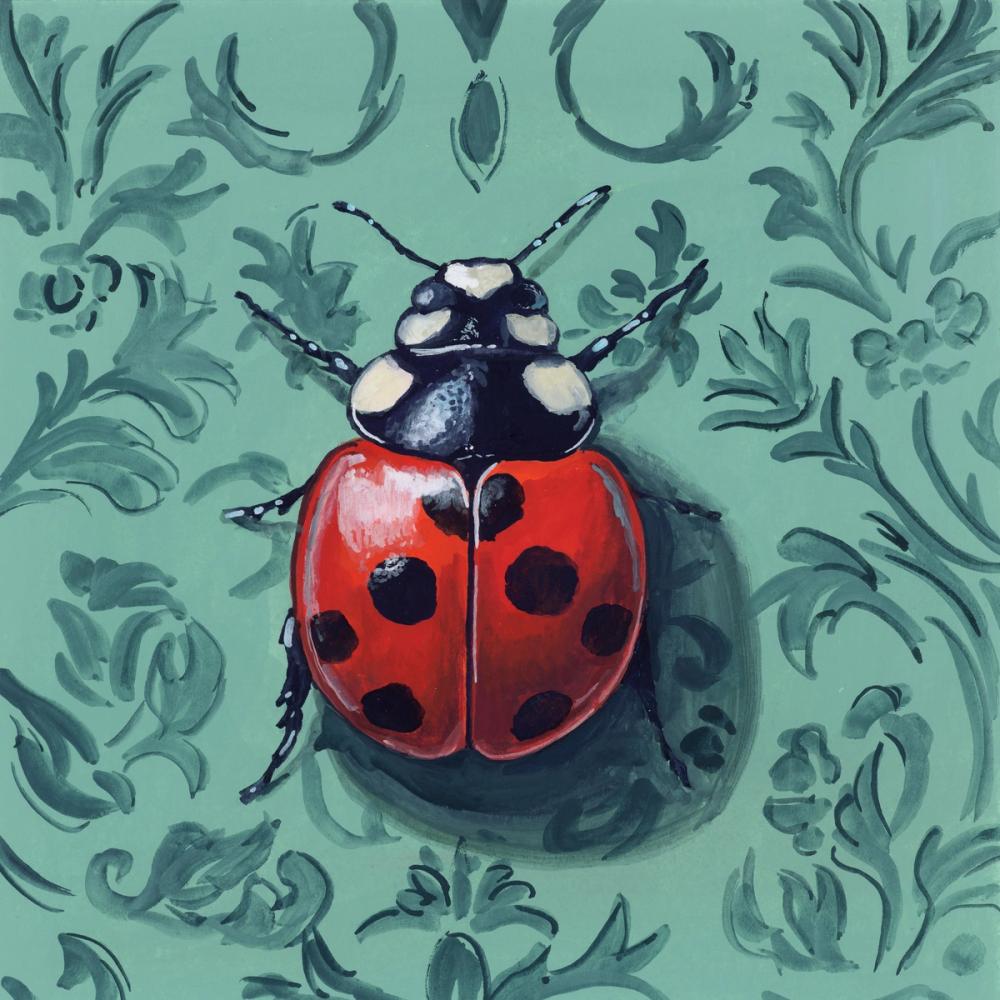 Ladybug In The Parlor Room