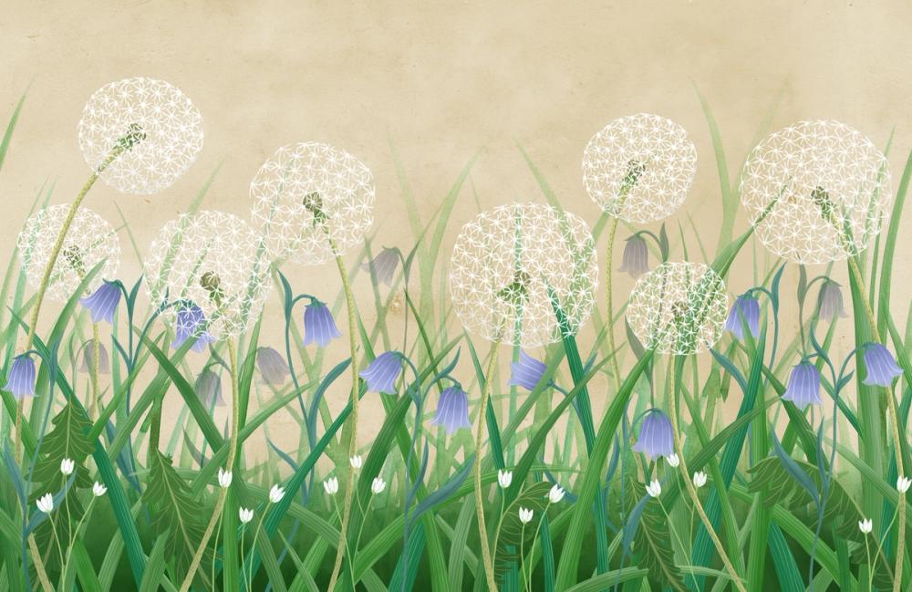 Dandelion Meadow, Sand