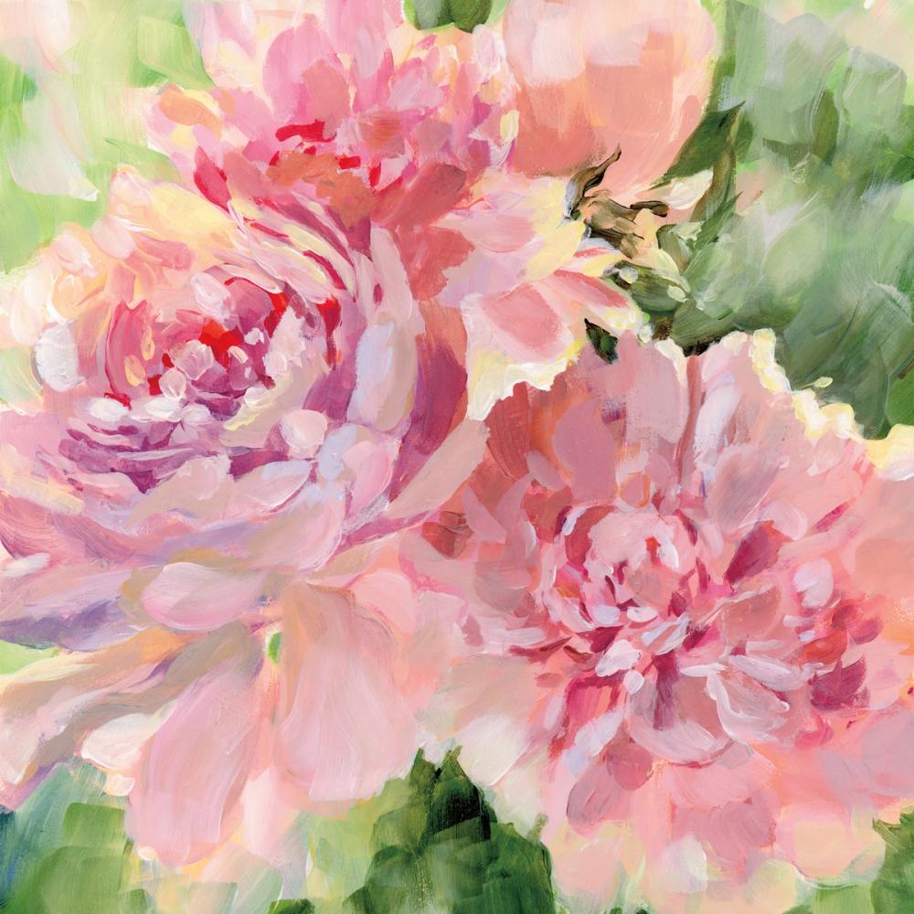 Sarahs Peony