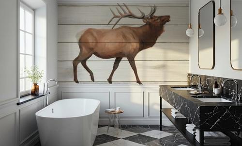 Woody Antlers