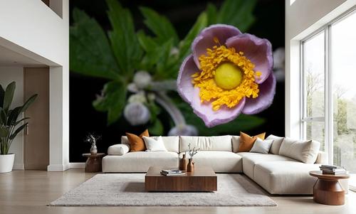 Macro Anemone II