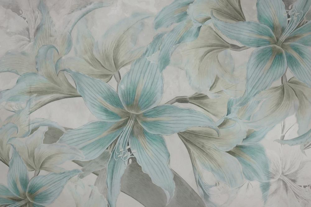  Amarantus dream Bluegreen