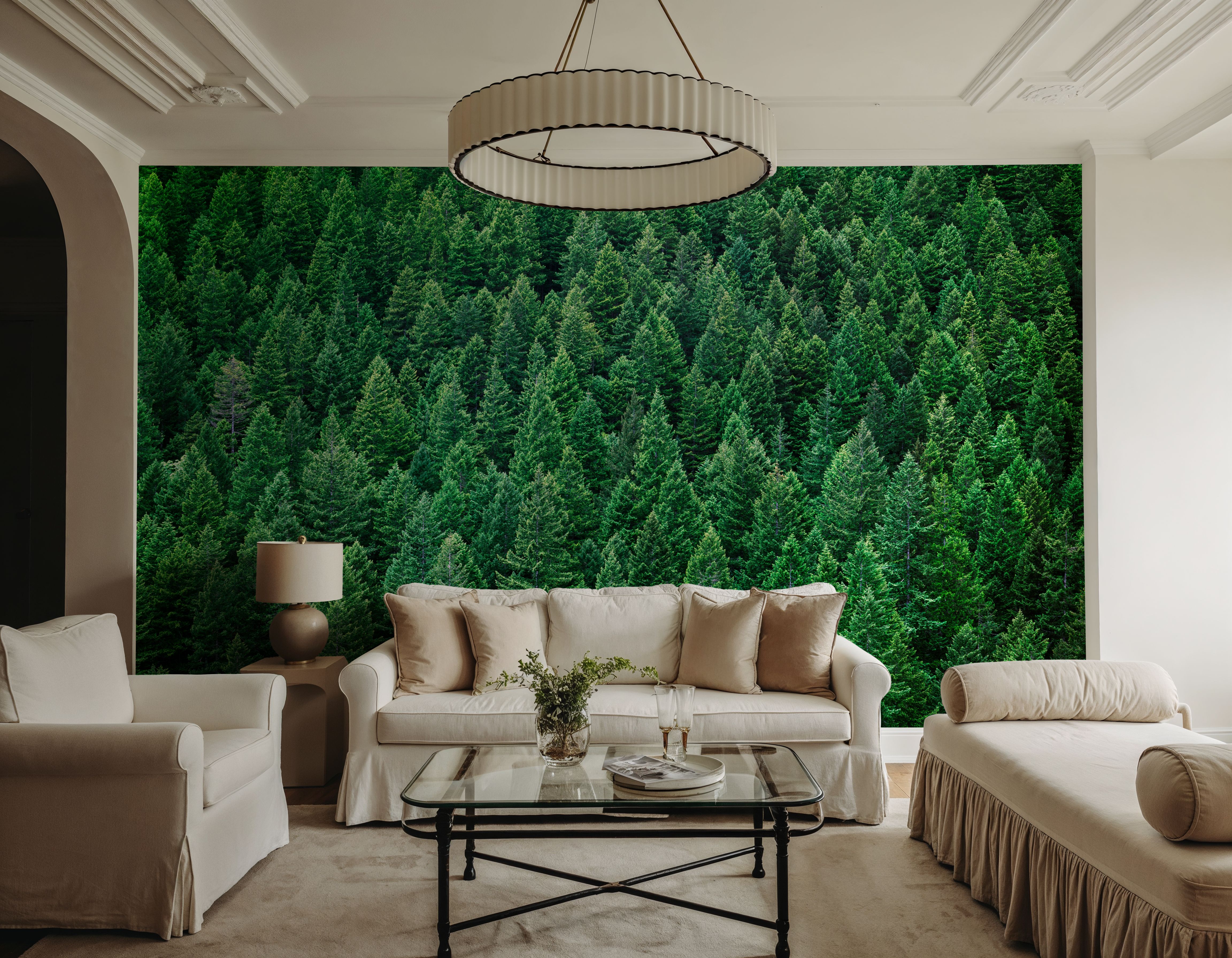 Olympic National Forest, Washington State