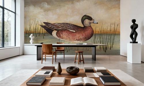 American Wigeon