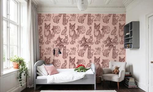 Cat Lounge, Pink