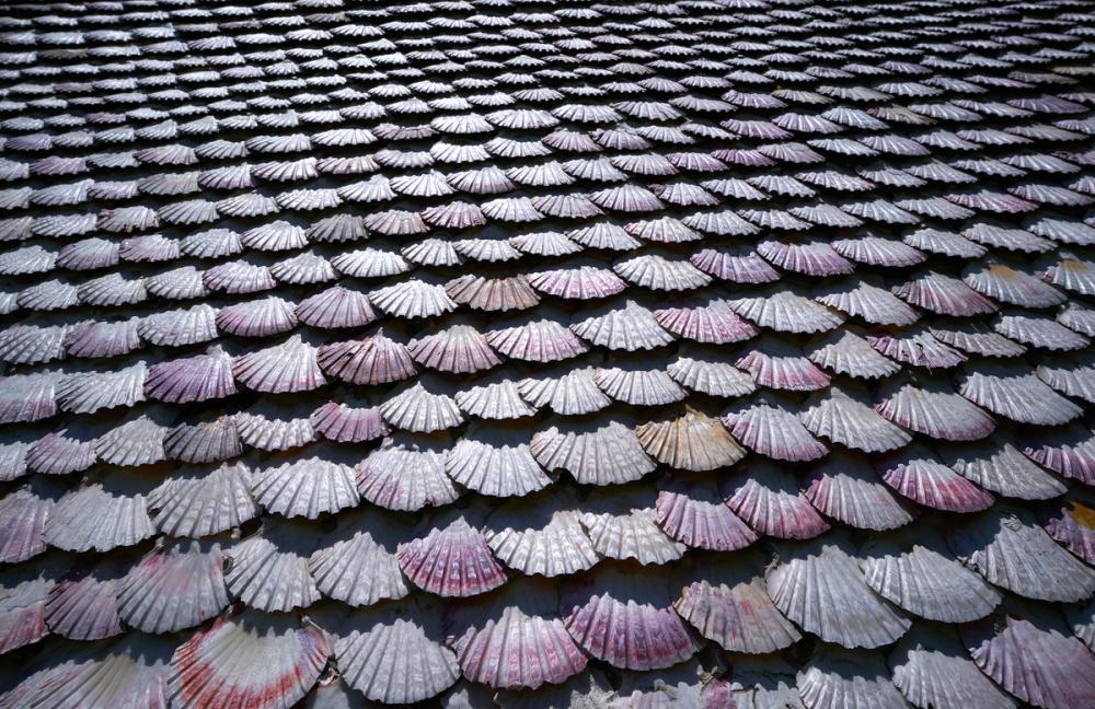 Mauve Seashell Mosaic