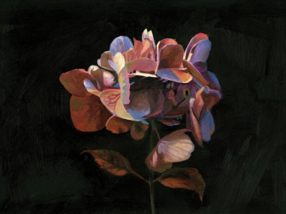 Vintage Moody Dried Hydrangea