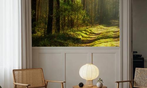 Silent Forest Road