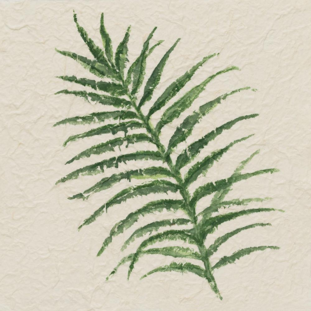 Kozo Fern VII