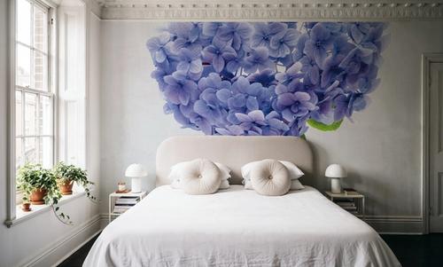 Cape Cod Hydrangea