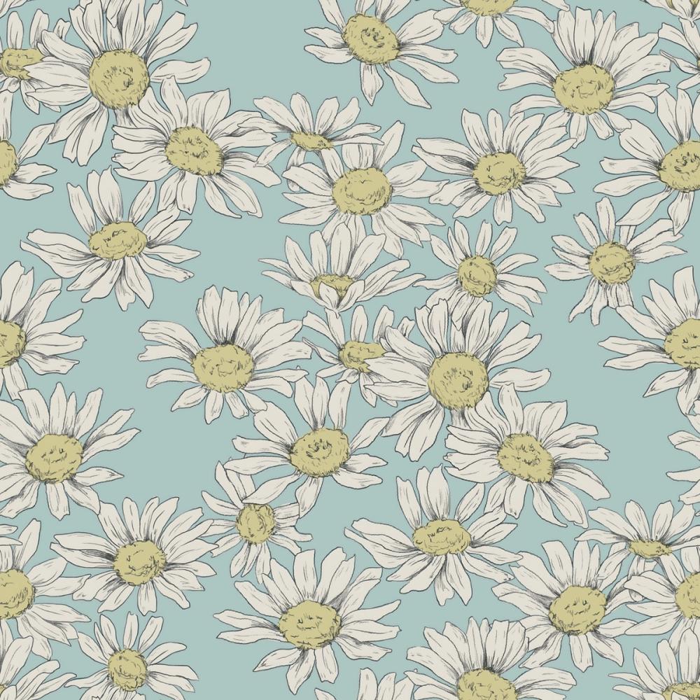 Dazzling Daisies Sky