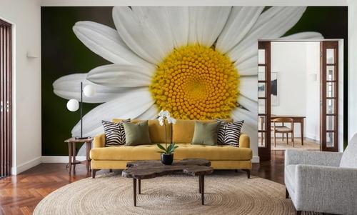 Daisy Petals