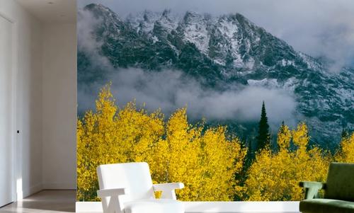 Grand Teton Fall