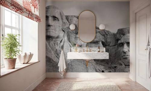 Mount Rushmore, Black And White