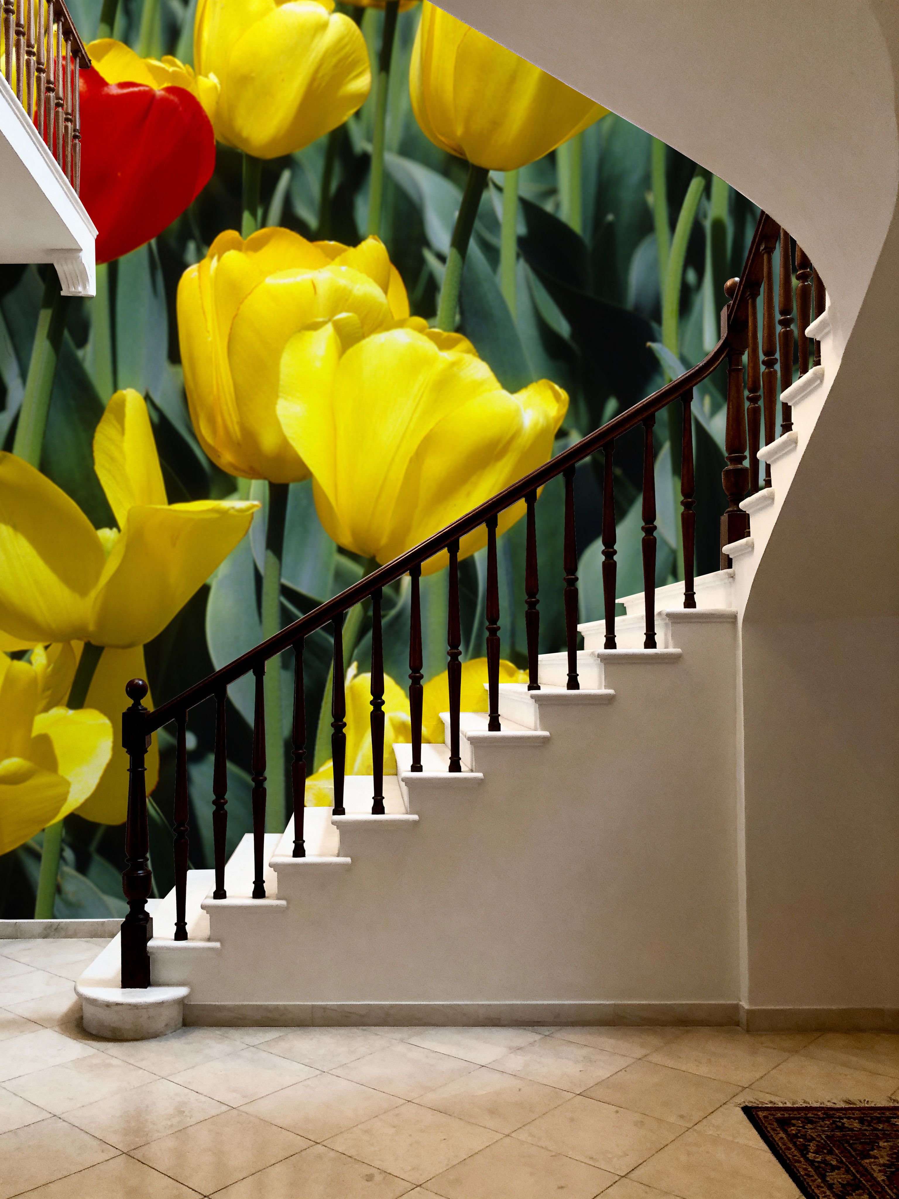 Lone Red Among Yellow