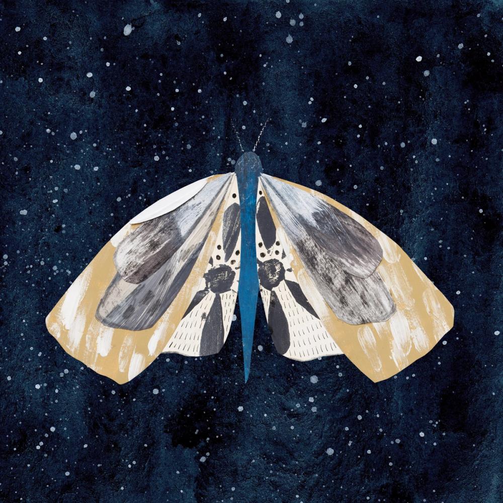 Elegant Moth III