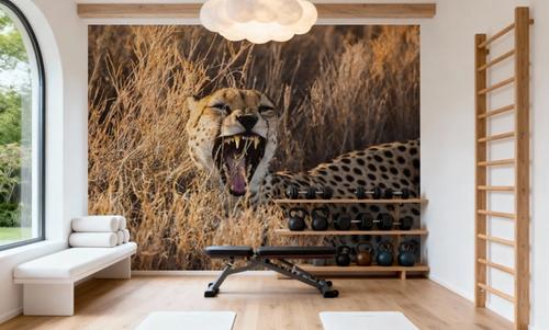 Big Yawn II