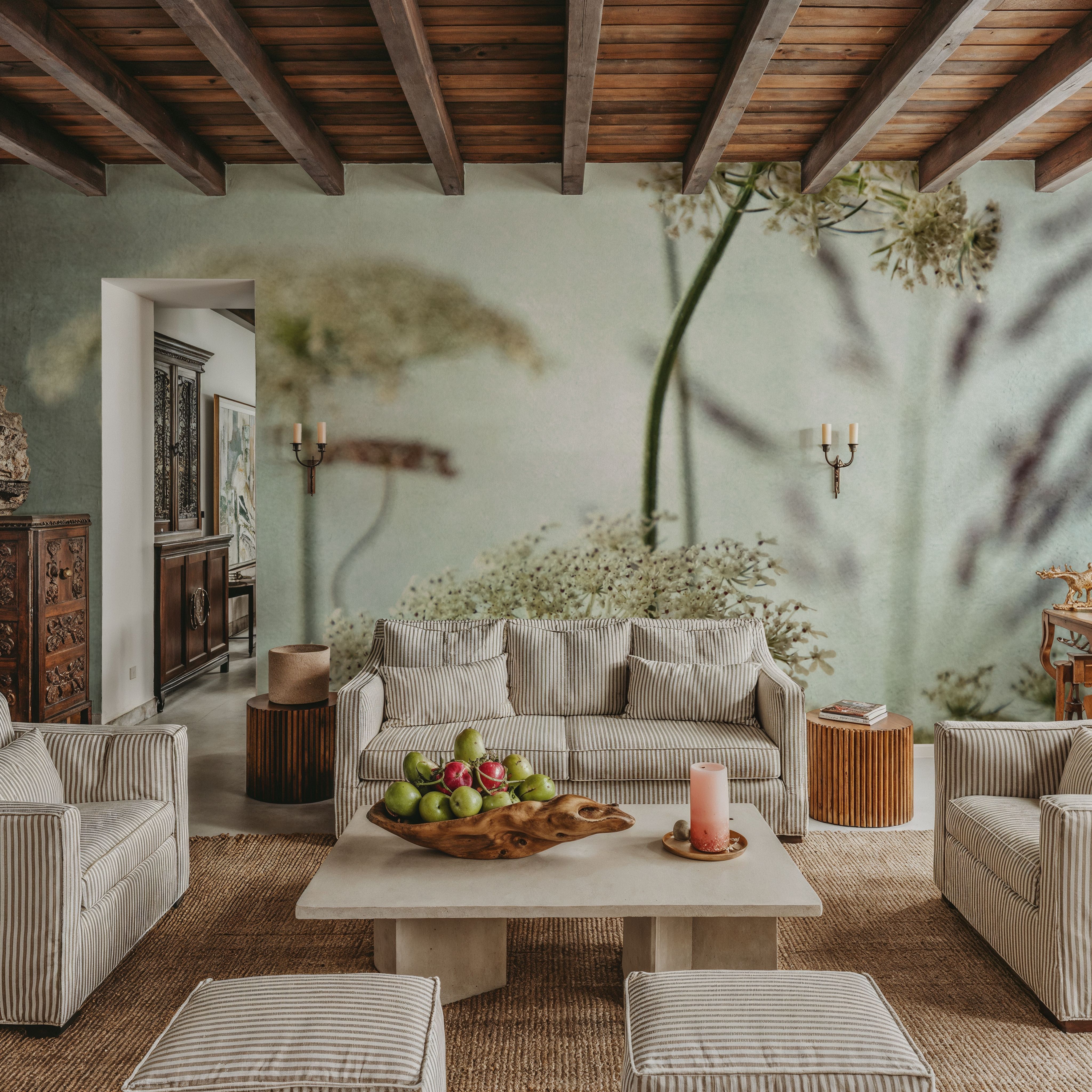 Queen Annes Lace Up Close I