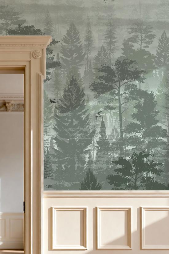 Misty Green Forest