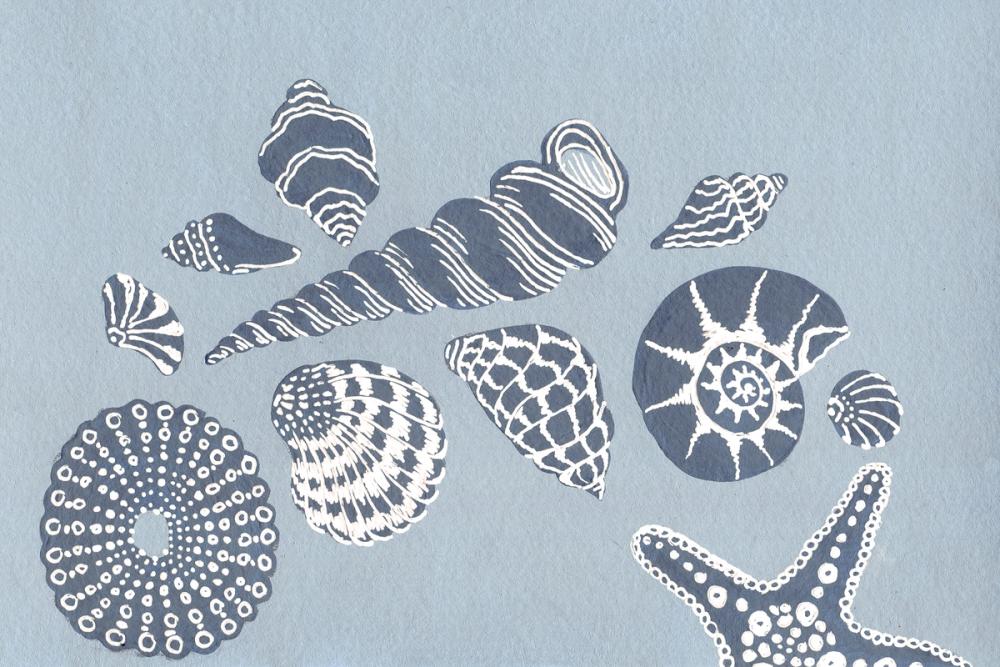 Illustrated shells on blue