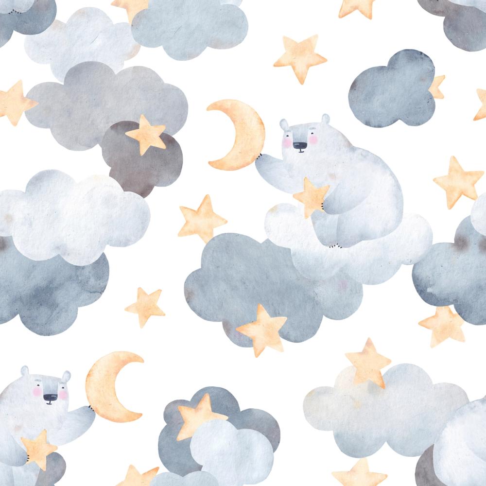 Polar Bears & Clouds