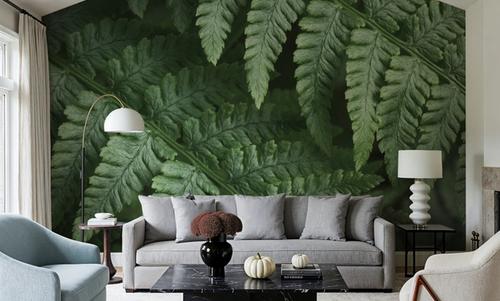Fern Lines