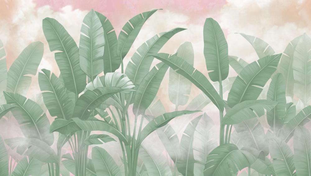 Banana Palms, Sunset