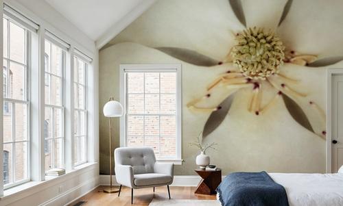 Magnolia Detail I
