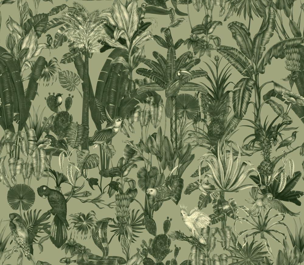 Tropical Wonderland, Pistachio