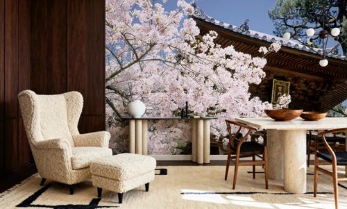 Kyoto Blossom