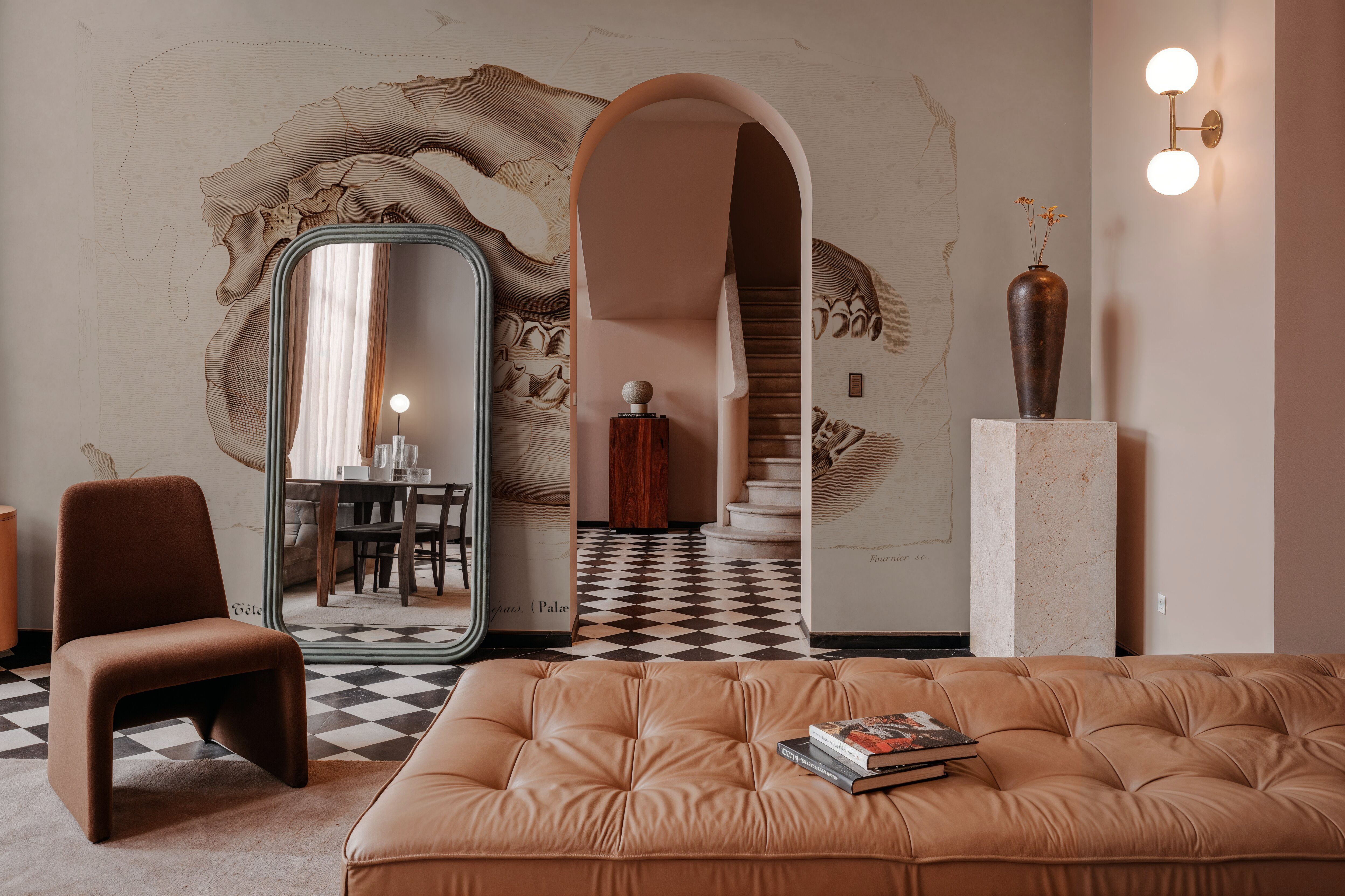 Palaeotherium Skull Illustrated