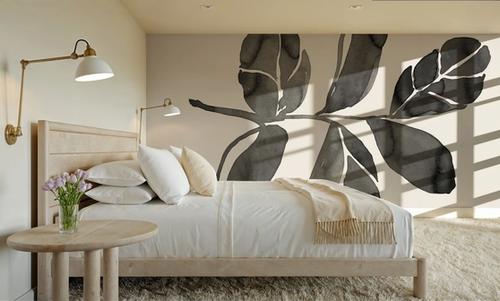 Fiddle Leaf IV Cream