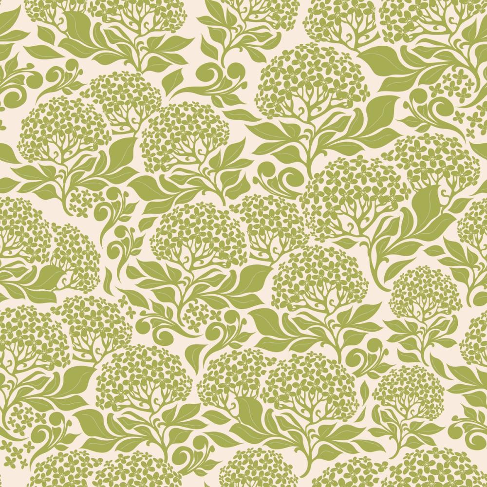 Hydrangea, Fresh Green