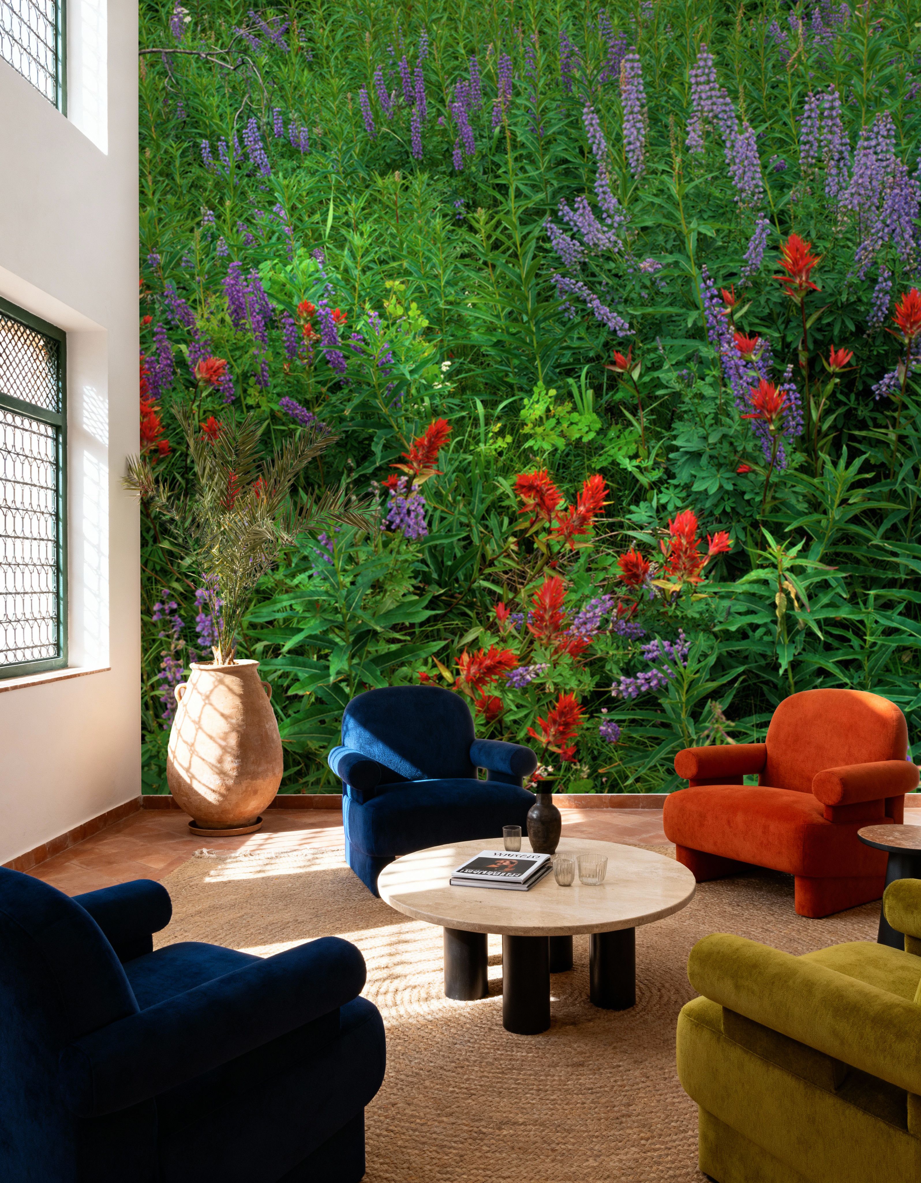 Yellowstone Wildflower