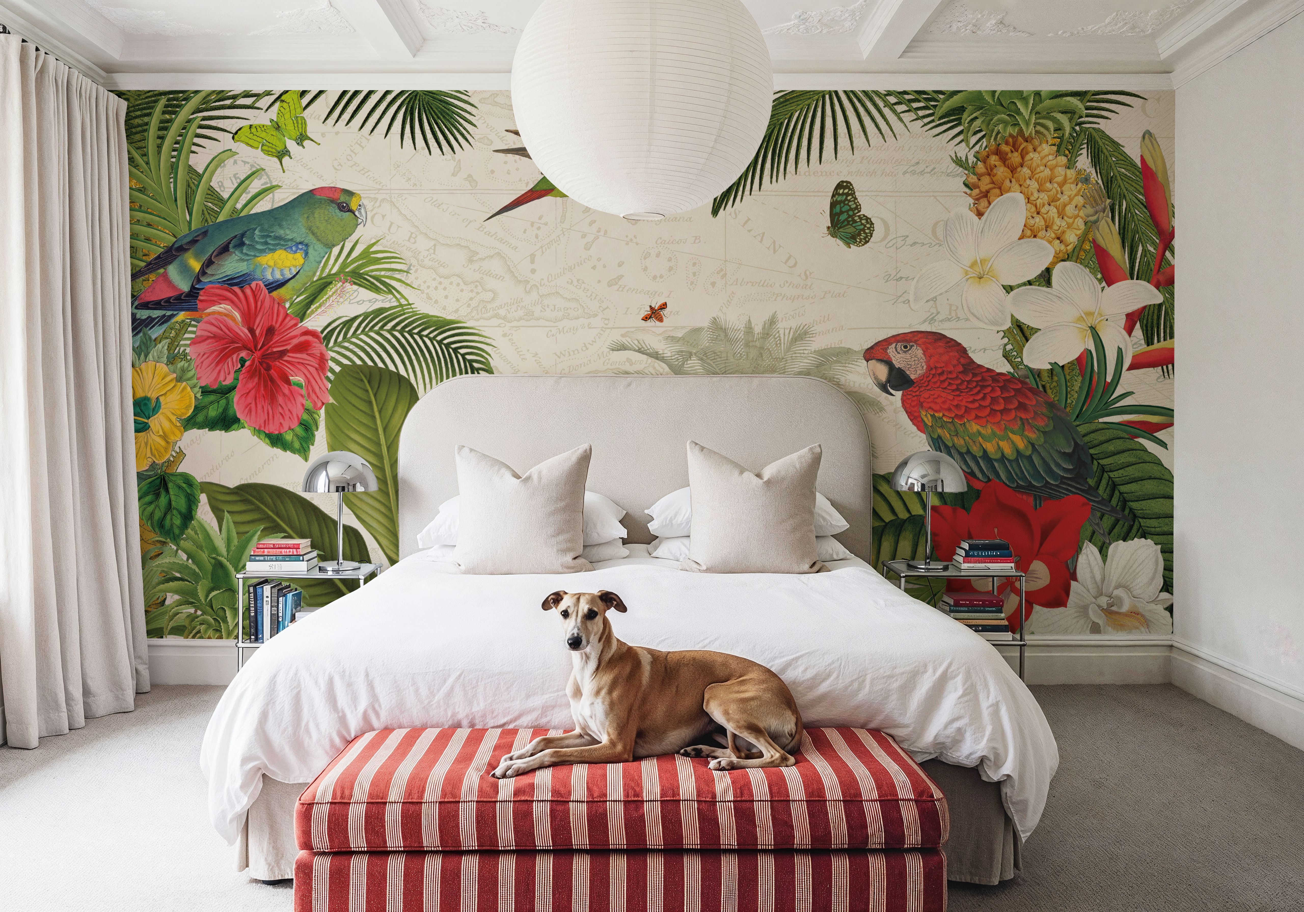 Parrot Paradise I
