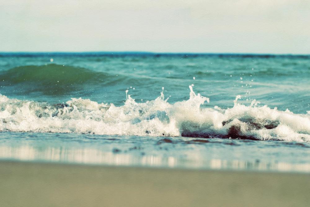 Mint Cottage Days II