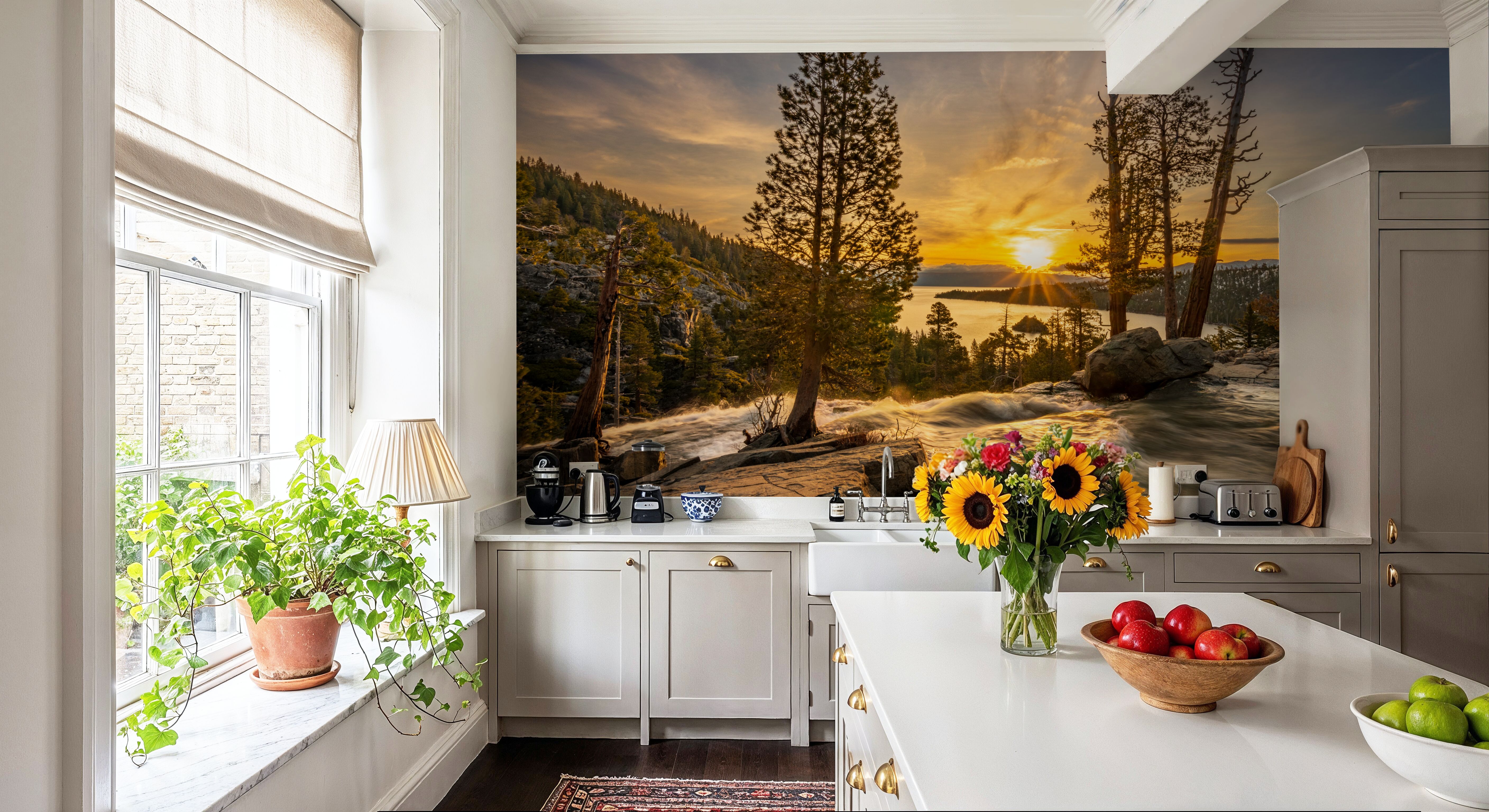 Snow Melting at Lake Tahoe