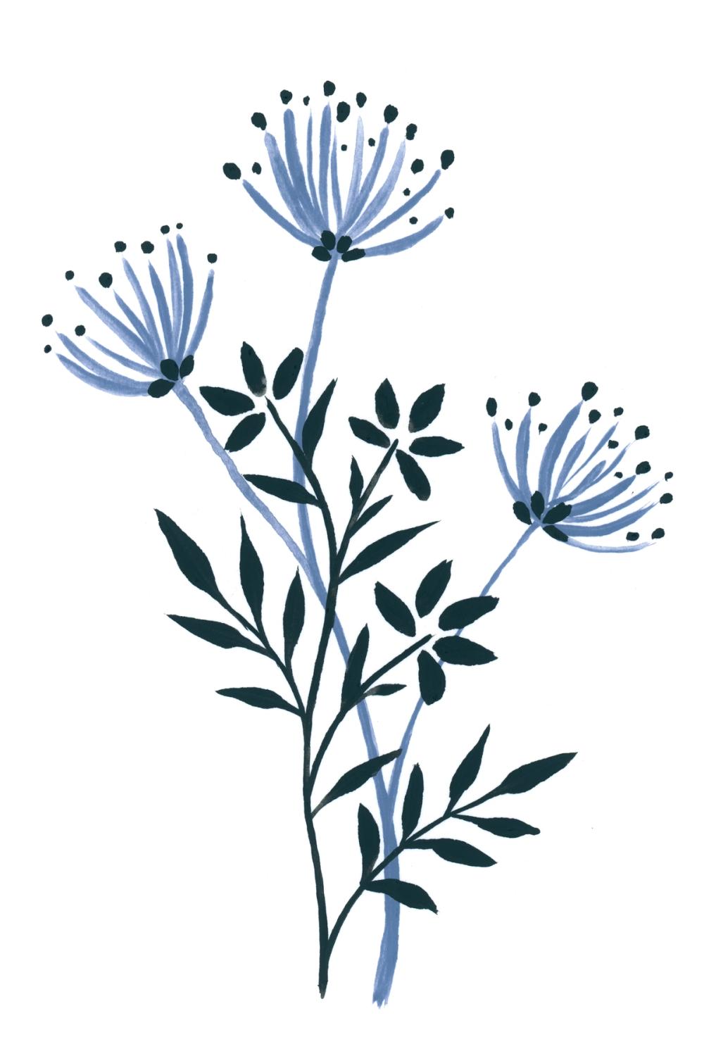 French Country Botanicals II