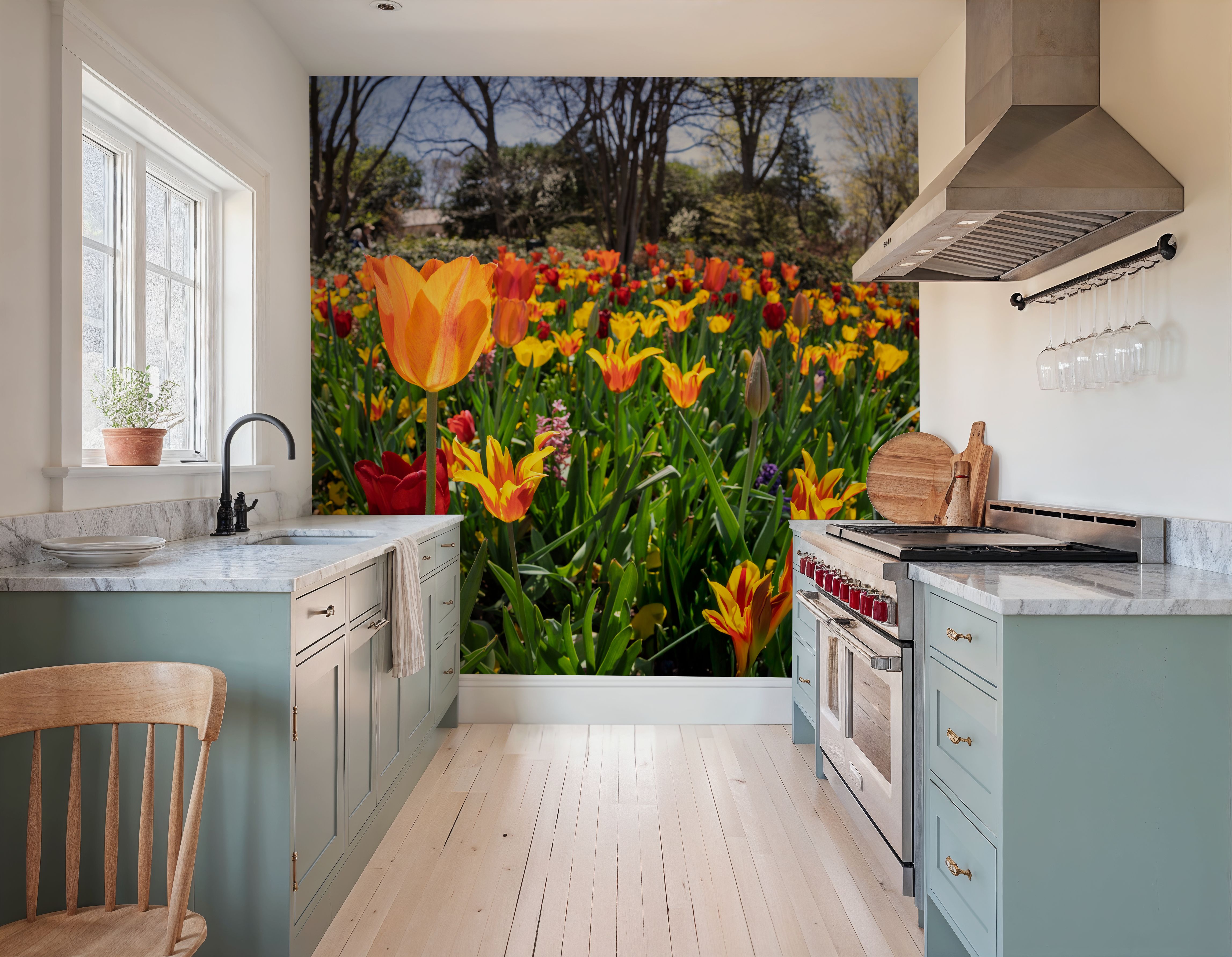 Vibrant Tulip Bloom