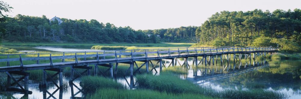 Woodland Bridge Reflection