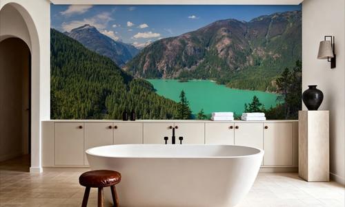 Diablo Lake III